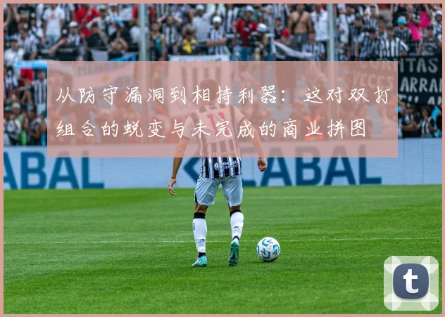 从防守漏洞到相持利器：这对双打组合的蜕变与未完成的商业拼图