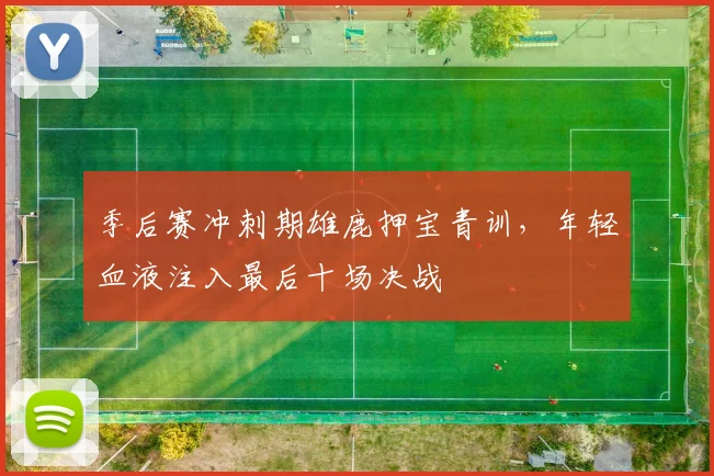 季后赛冲刺期雄鹿押宝青训，年轻血液注入最后十场决战