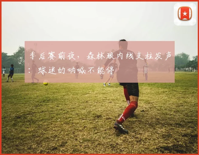 季后赛前夜，森林狼内线支柱发声：球迷的呐喊不能停
